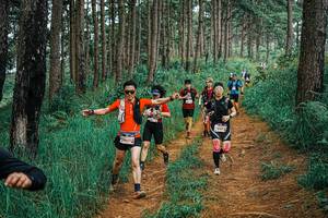 BIB: 
                            <button type="button" onclick="openModal(25673290)" class="btn btn-primary btn-sm float-right btn-popup" data-toggle="modal" data-target=".modal-high-quality">
                        <i class="fas fa-shopping-cart"></i> Add to Cart
                    </button>
                                            <button type="button" onclick="isThisMe(25673290, true)" class="btn btn-success btn-sm float-right btn-popup btn-isme hidden" data-toggle="tooltip" data-placement="bottom" title="นี่คือรูปของคุณใช่ไหม คลิกที่นี่เพื่อเอาเข้าอัลบั้ม">
                        <i class="fas fa-plus"></i> Add to album
                    </button>
                    <button type="button" onclick="isThisMe(25673290, false)" class="btn btn-warning btn-sm float-right btn-popup btn-isnotme hidden">
                        <i class="fas fa-ban"></i> Remove from album
                    </button>